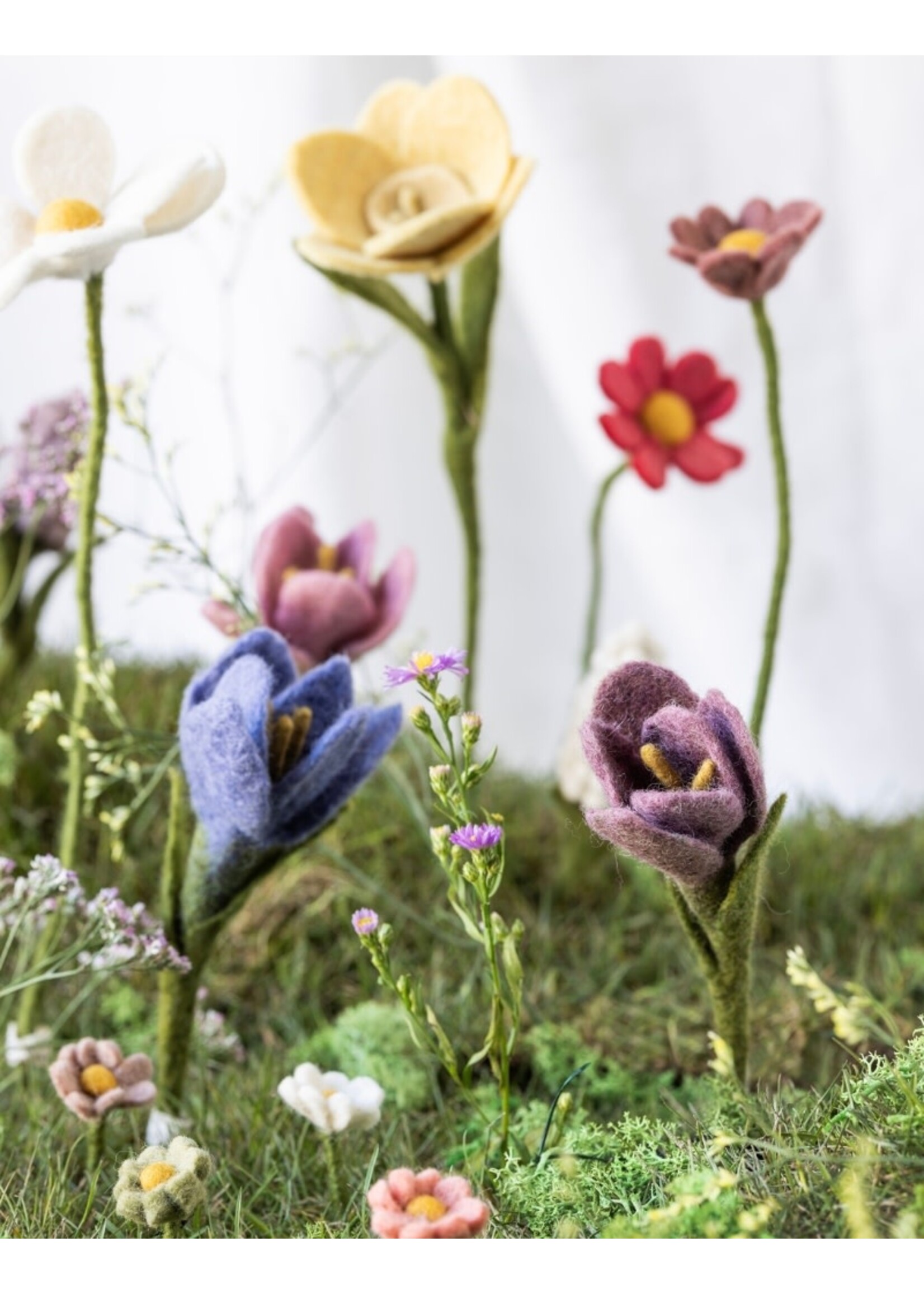 Gry & Sif Crocus - Purple