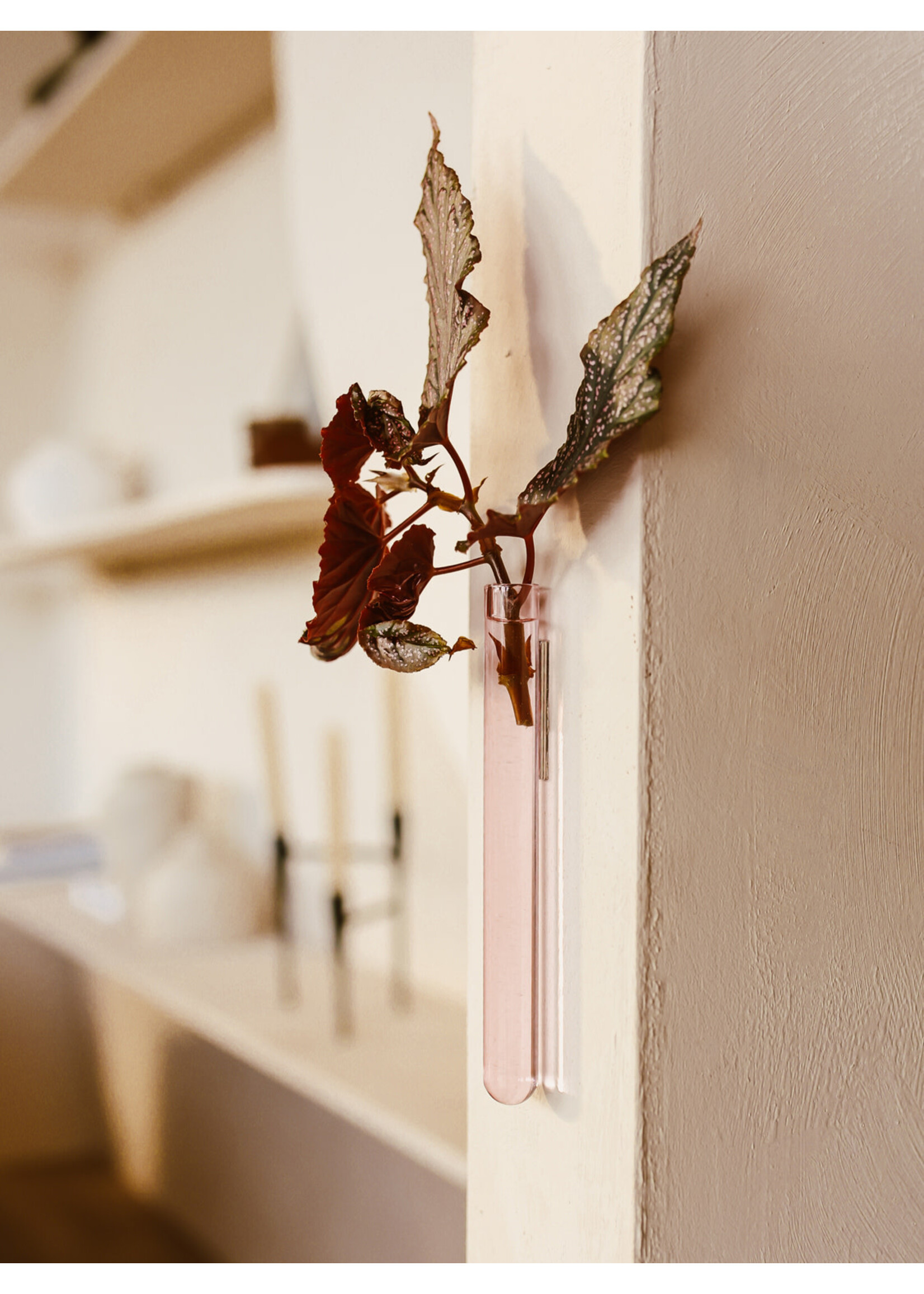 Walleaf Muurbloempjes 1-pack - pink