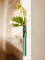 Walleaf Muurbloempjes 1-pack - teal