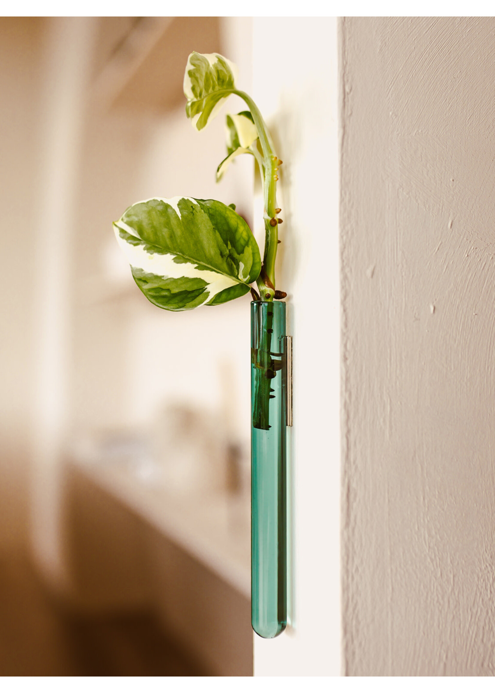 Walleaf Muurbloempjes 1-pack - teal