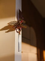 Walleaf Muurbloempjes 1-pack - transparent