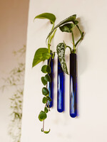 Walleaf Muurbloempjes 3-pack - blue