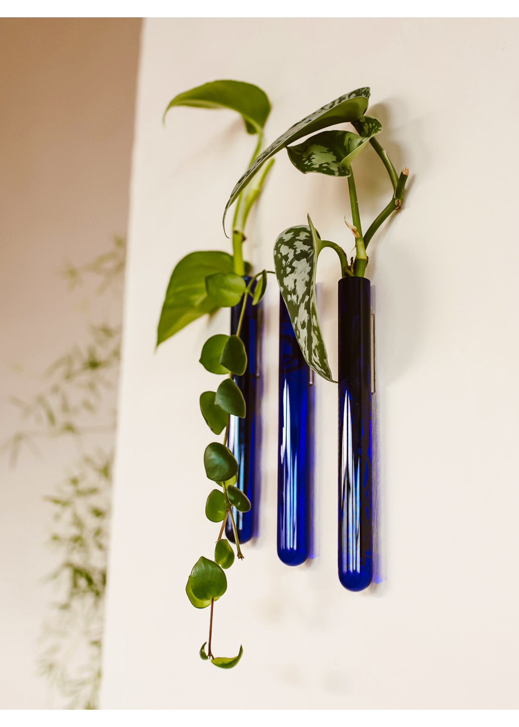 Walleaf Muurbloempjes 3-pack - blue