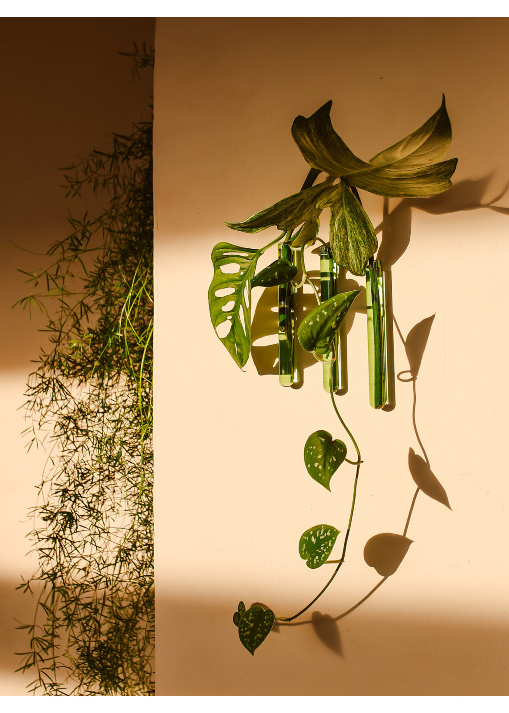 Walleaf Muurbloempjes 3-pack - green