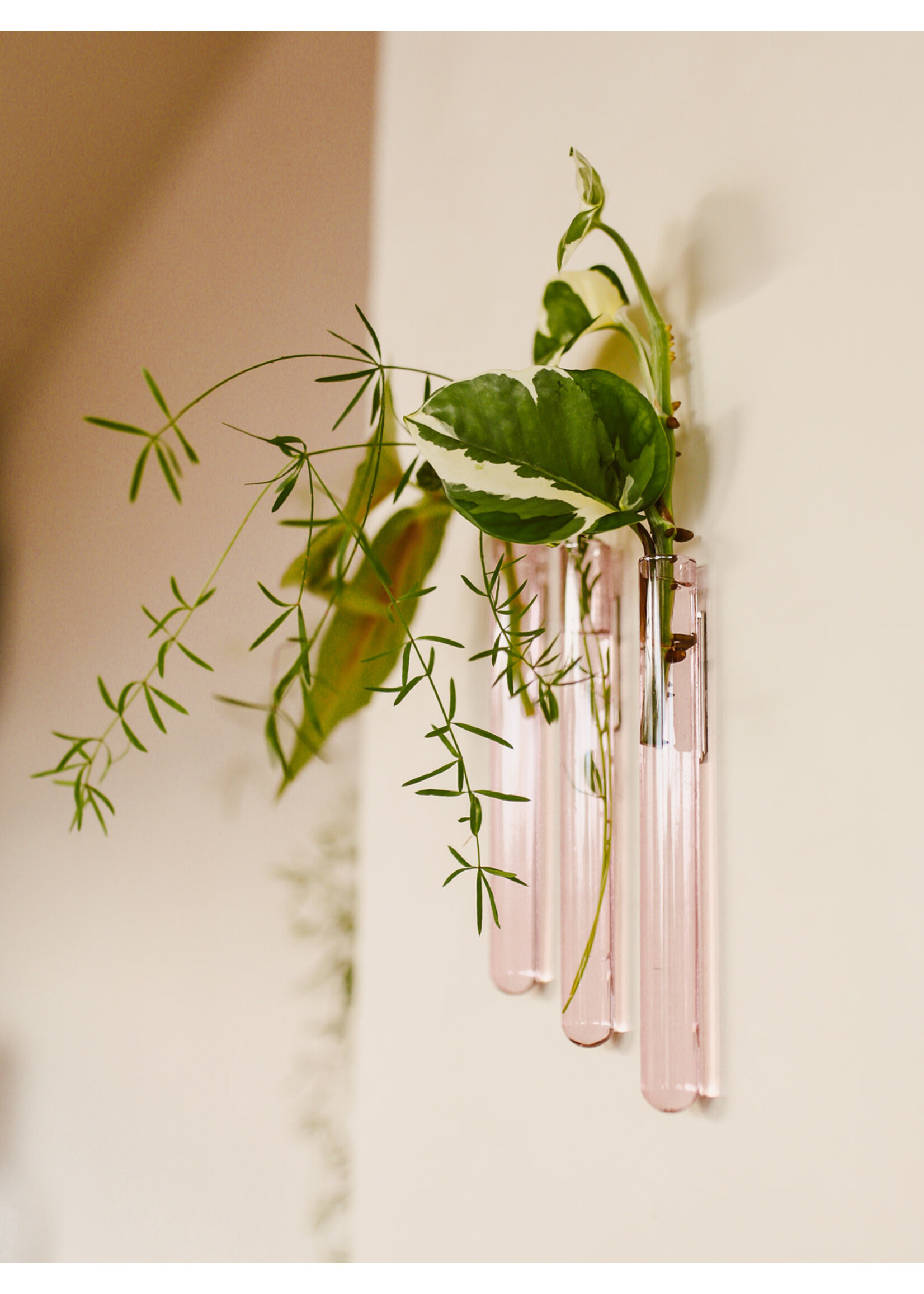 Walleaf Muurbloempjes 3-pack - pink