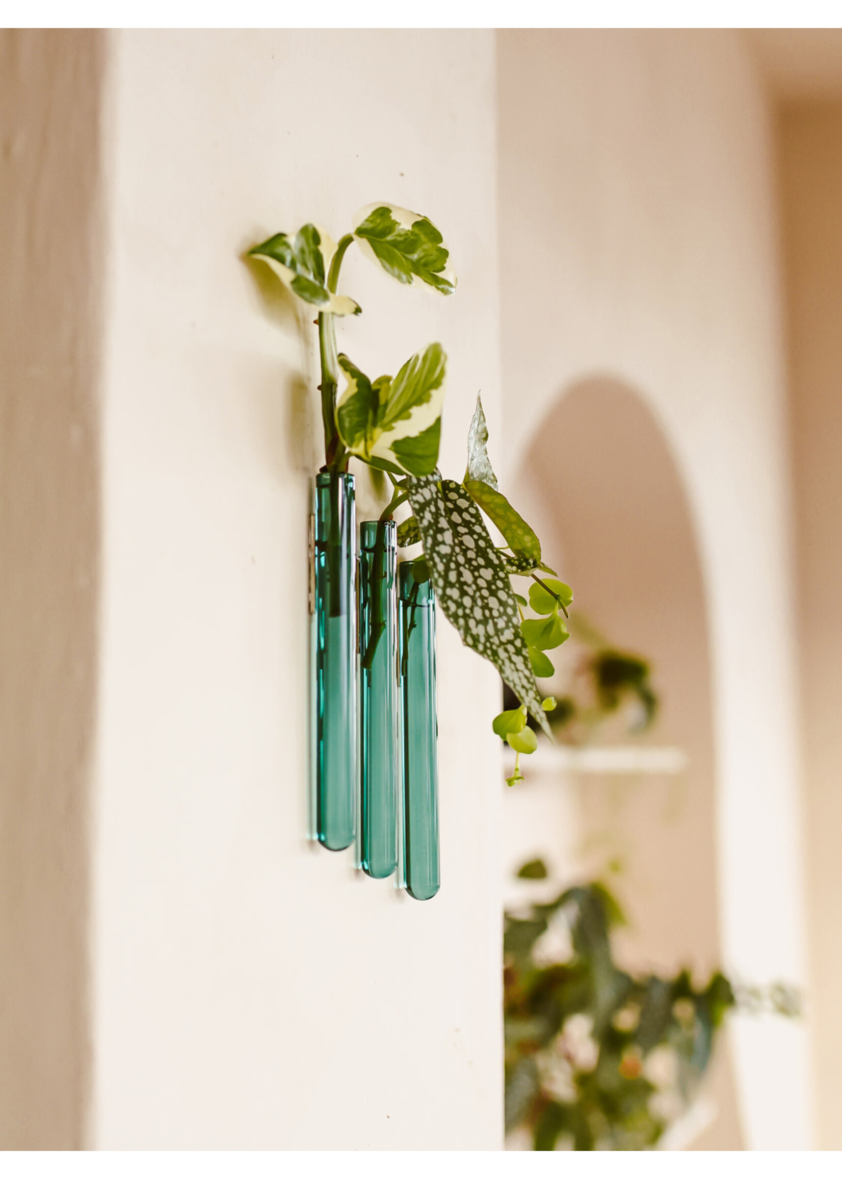 Walleaf Muurbloempjes 3-pack - teal