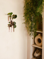 Walleaf Muurbloempjes 6-pack - pink