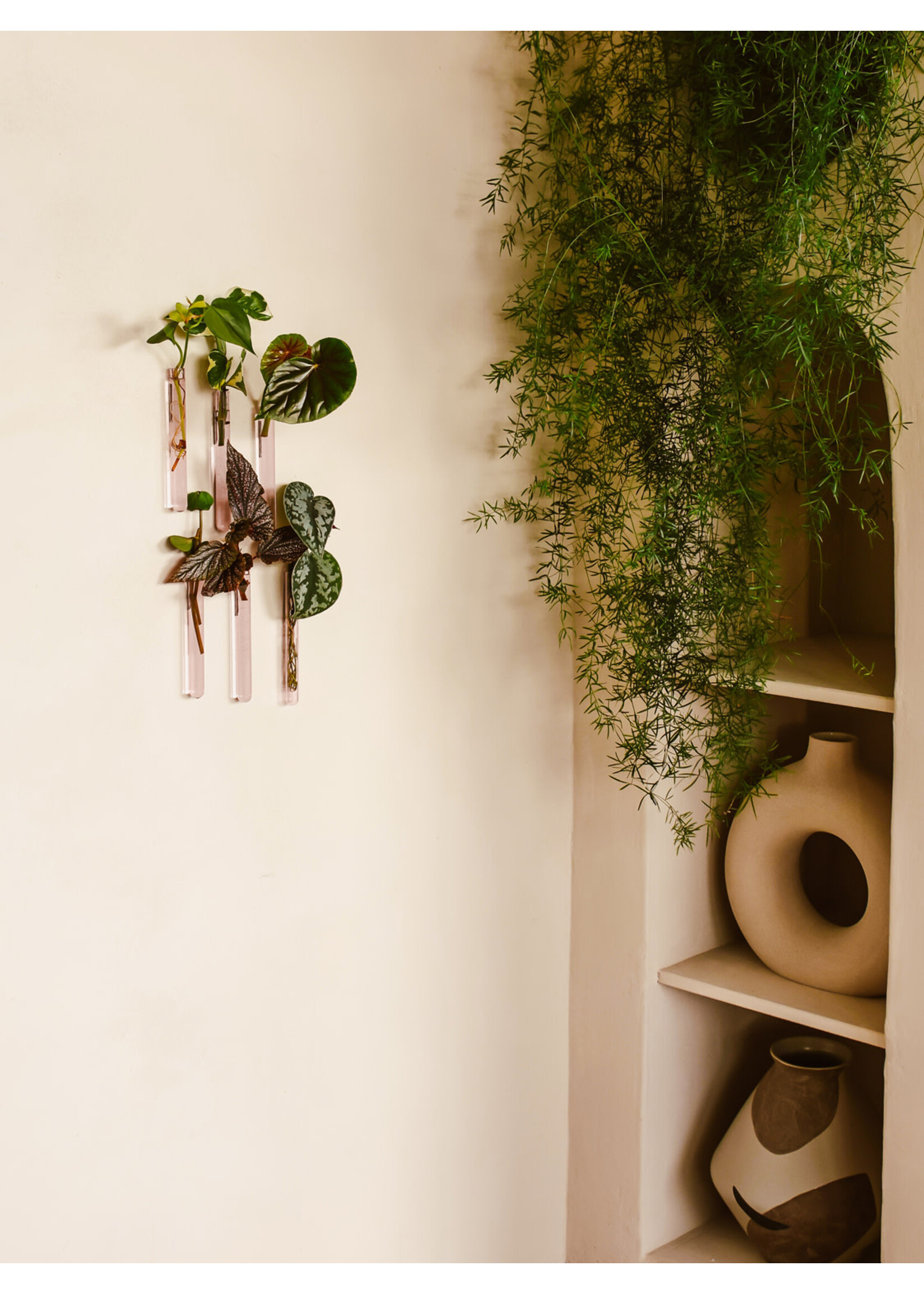 Walleaf Muurbloempjes 6-pack - pink