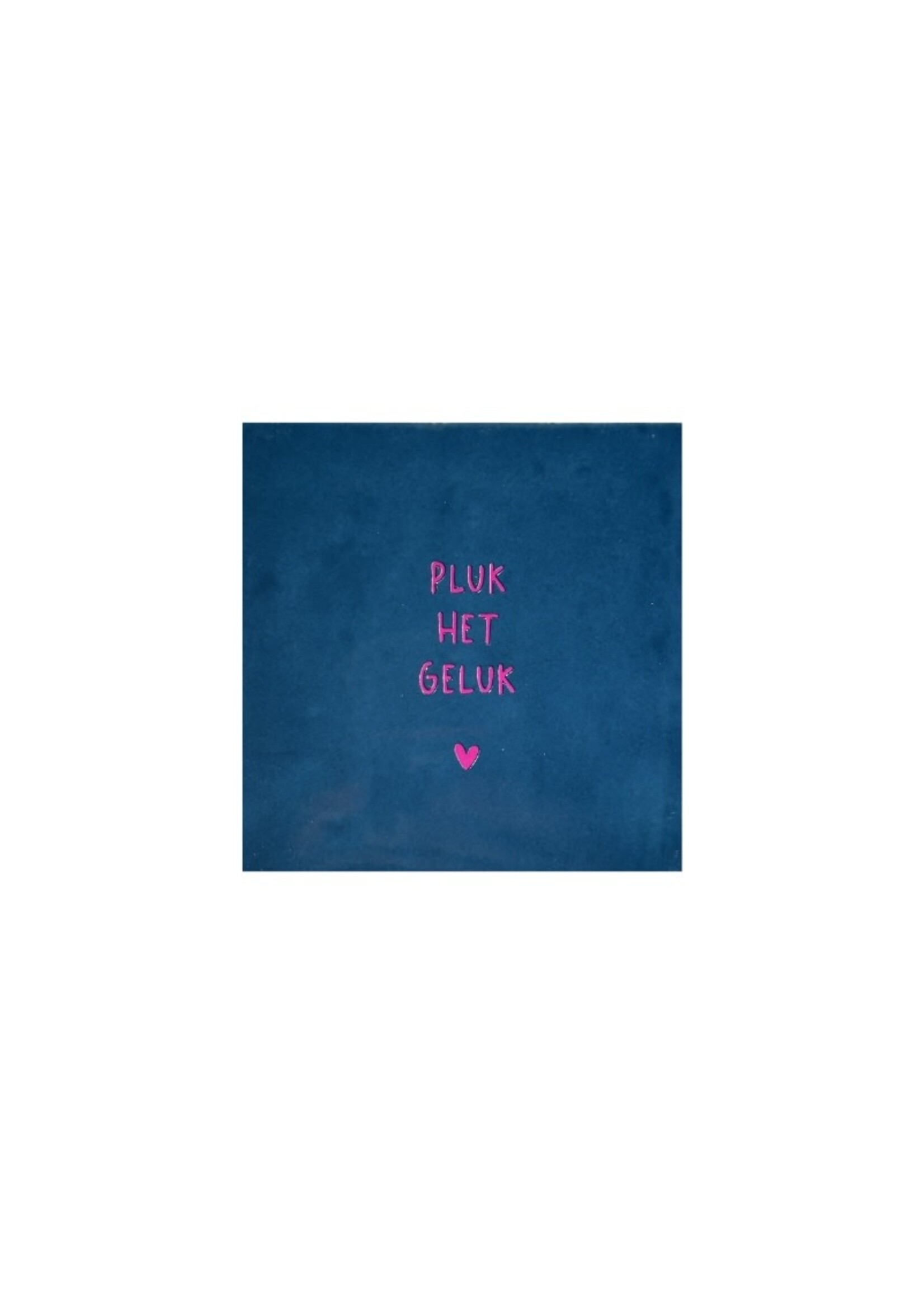 YETT Quote tegeltje - pluk het geluk - blauw/roze