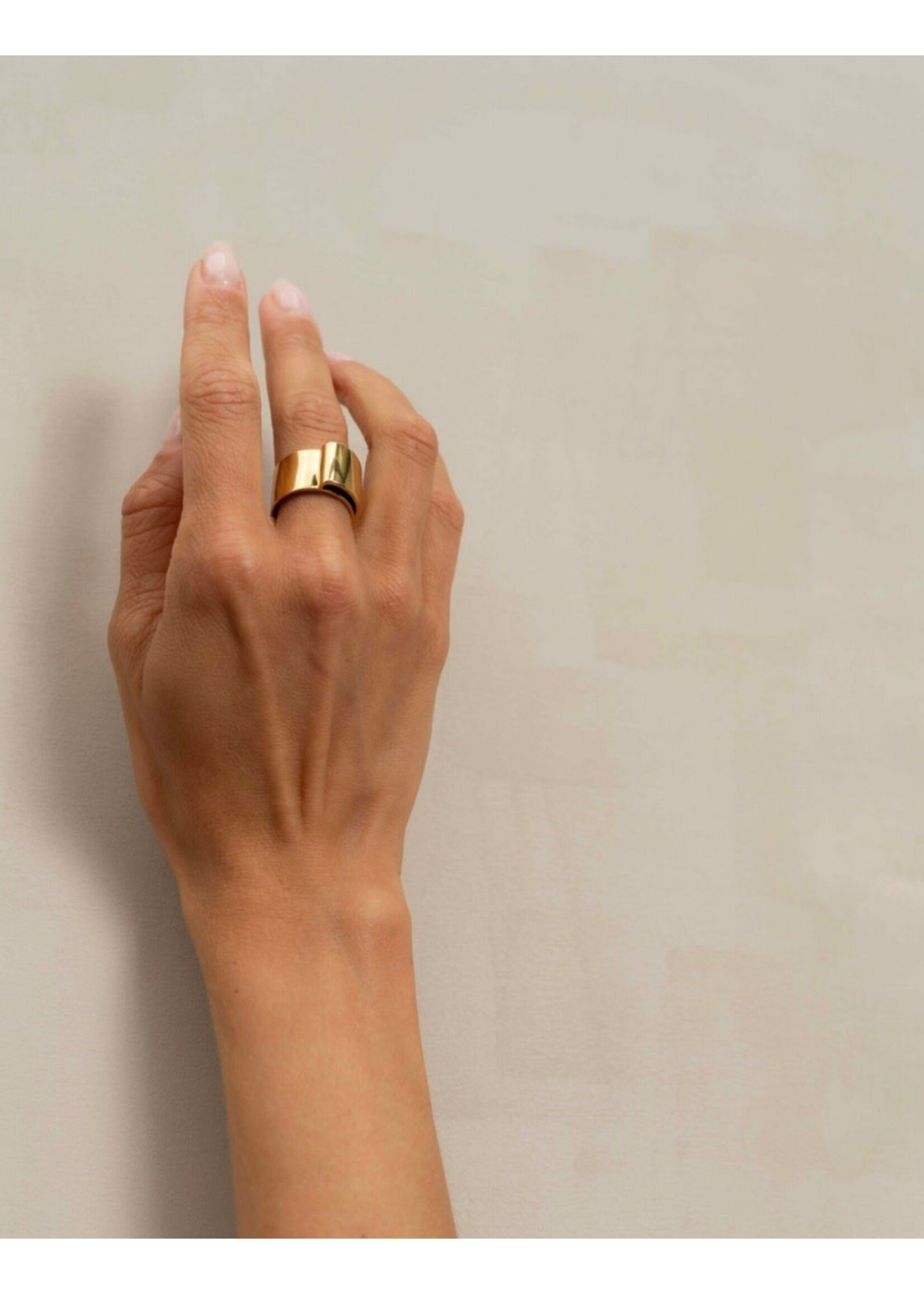 Ellen Beekmans EB Signature Loop ring - 17