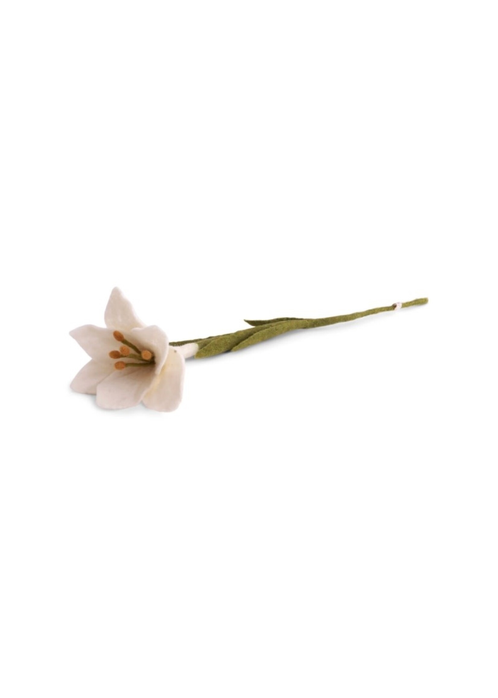 Gry & Sif Trumpet Lily Flower - White