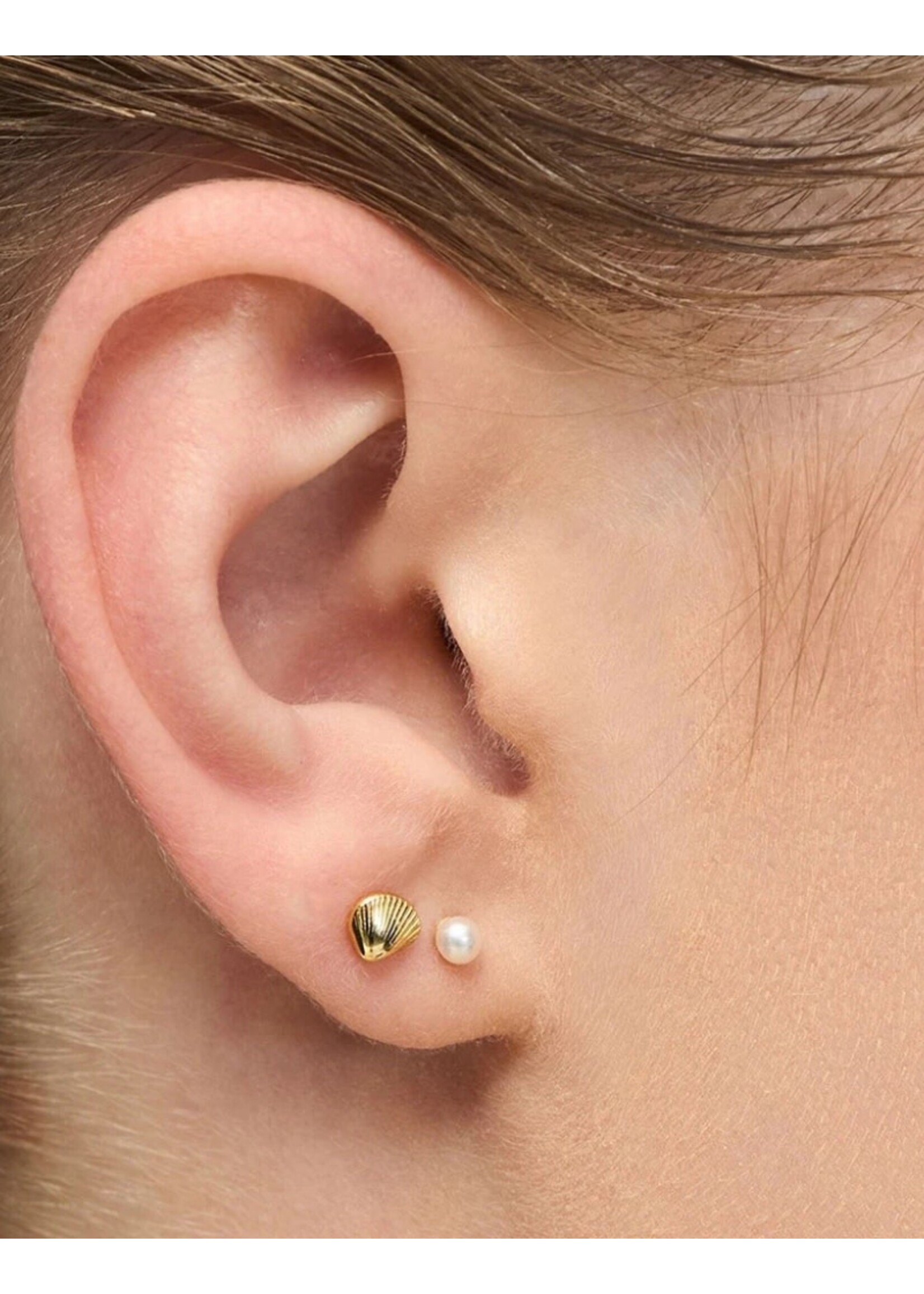 LULU Copenhagen Family Sea Pair - Gold Plated