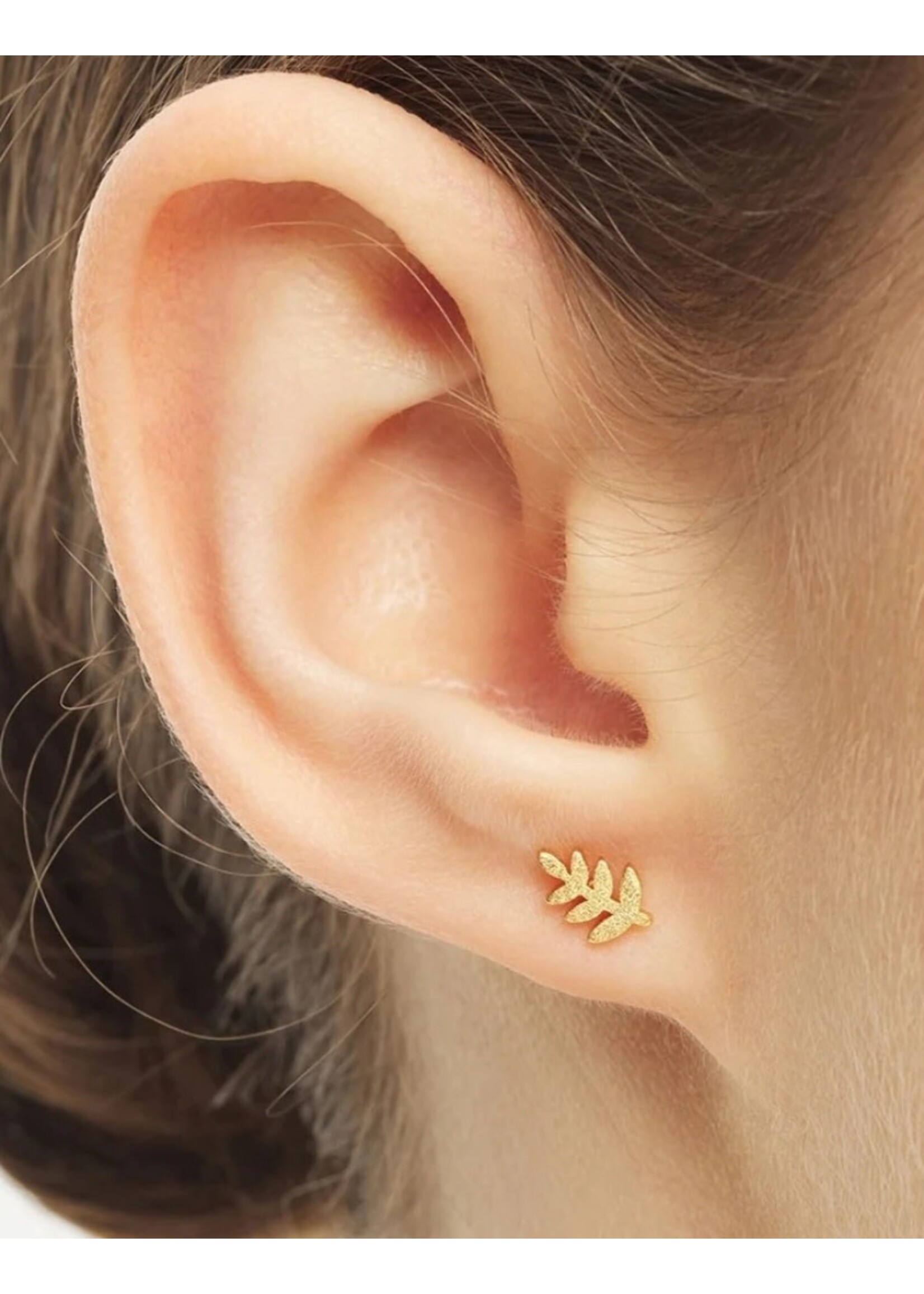 LULU Copenhagen Olive Branch oorstud - Gold Plated