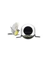 Born in Sweden Birdfeeder