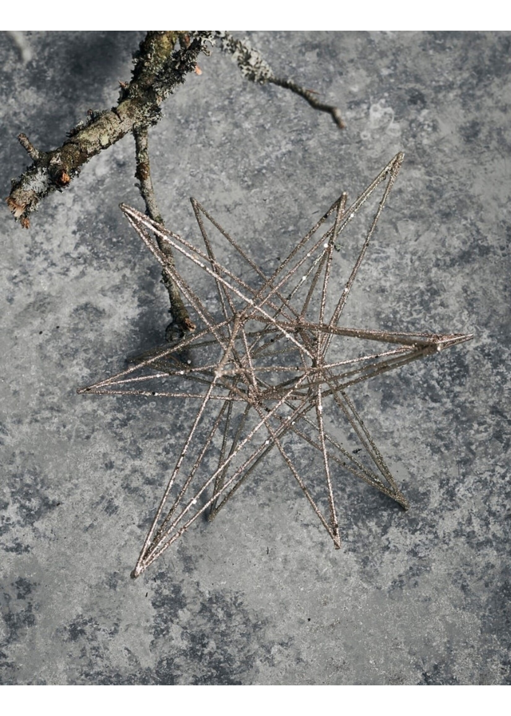 House Doctor Christmas Star Champagne Ø21