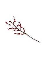 Gry & Sif Branch Red Berries
