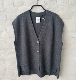 Wen Moon Danny Korat Grey