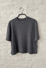 Wen Moon Linda Korat Grey