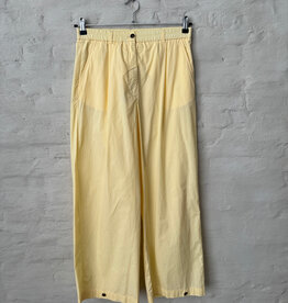 DIEGA Pazao 11040 Jaune