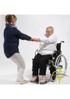 Aide-transfert pour se relever