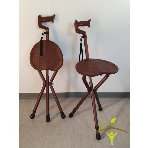 Canne de marche Pluviose en aluminium