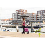 Rollz Flex Le déambulateur commercial moderne