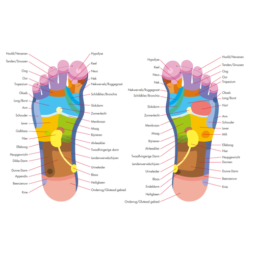 FootInn II - masseur de pieds