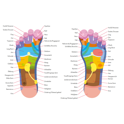 Appareil de massage des pieds Reflexomed II