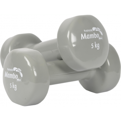 Haltères enduites néoprène 5,0 kg - gris (par 2)