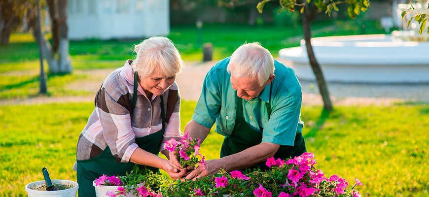 LES MEILLEURES ACTIVITÉS DE PRINTEMPS POUR LES SENIORS