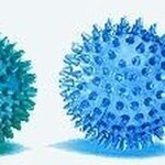 Balle de stimulation à  crampons Therasensory (3 modèles) Balle hérisson Reflexball - Disponible en 4 tailles