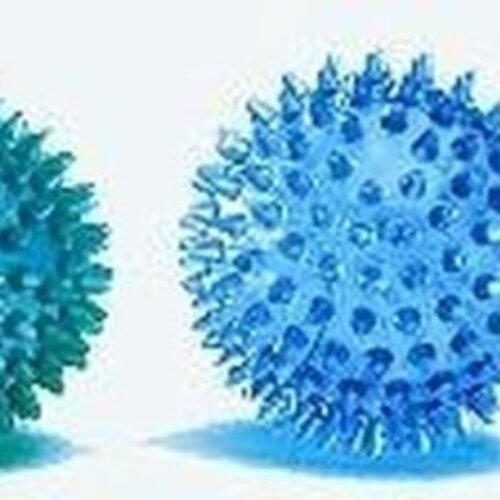 Balle de stimulation à  crampons Therasensory (3 modèles) Balle hérisson Reflexball - Disponible en 4 tailles