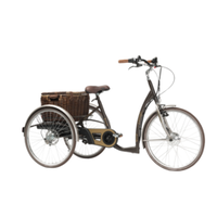 Tricycle électrique moderne pour adultes
