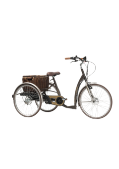 Tricycle électrique moderne