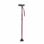 Canne Stabilicane