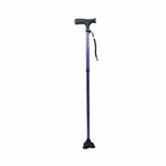 Canne Stabilicane