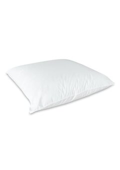 Oreiller imperméable Bionight 60 x 60 cm avec noyau en mousse