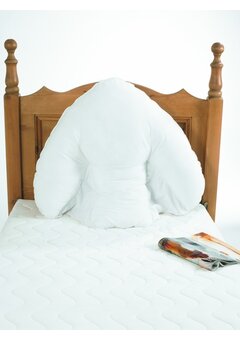 Coussin chauve-souris