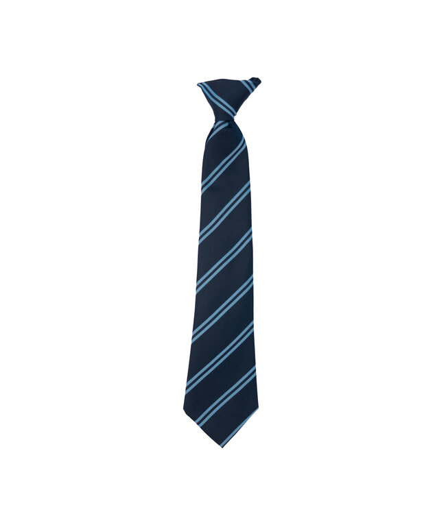 Bromham School Tie