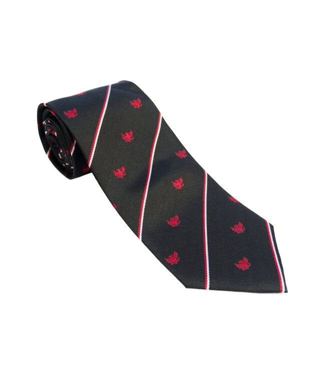 OBM Silk Tie