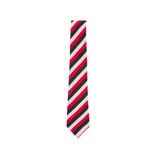 BMS Junior School Tie
