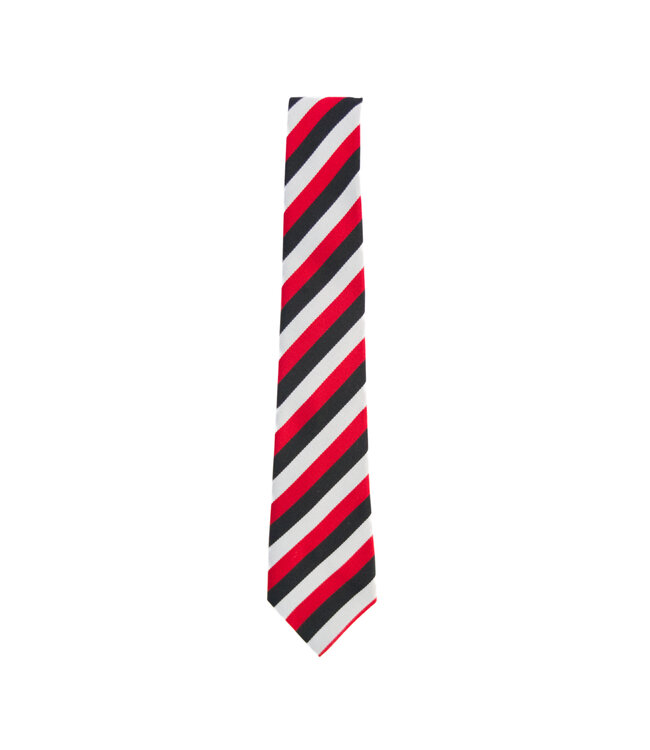 BMS Junior School Tie