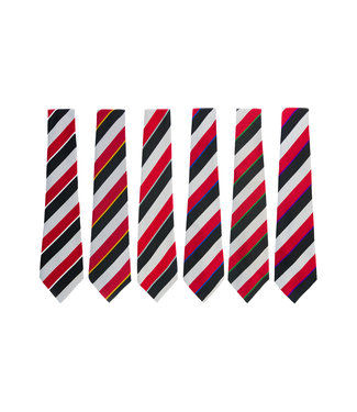 BMS Senior School Tie