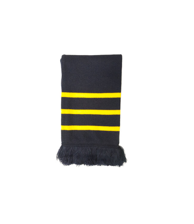 BS Prep Scarf