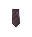 BS House Tie