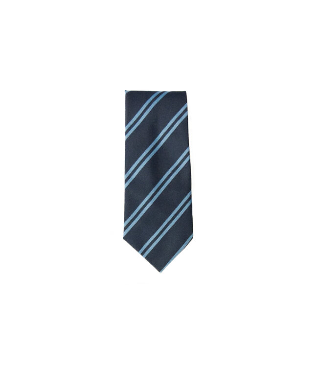 BS House Tie