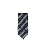 BS House Tie