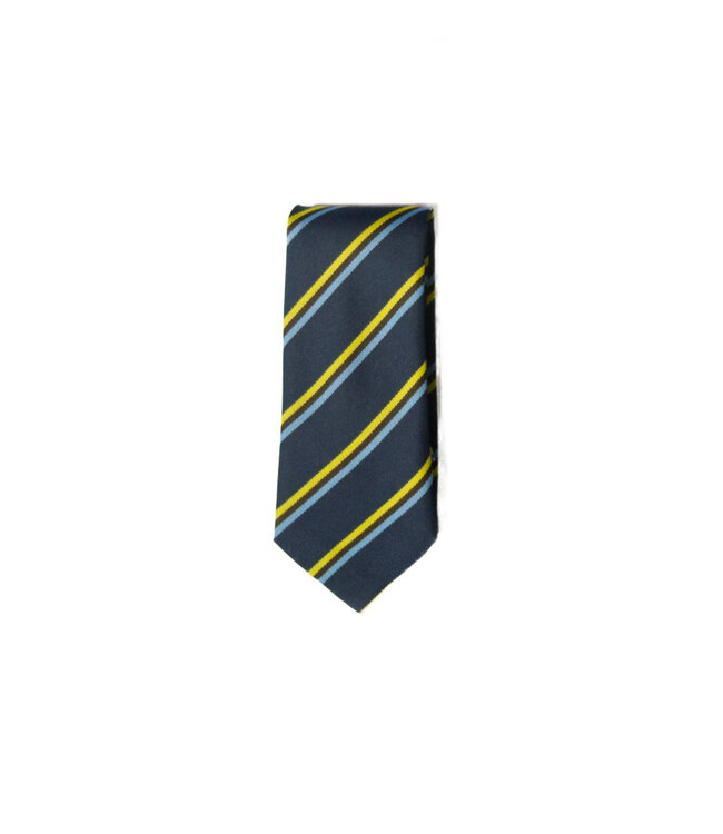 BS House Tie