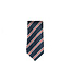 BS House Tie