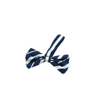 BS OB Pre Tied Bow Tie